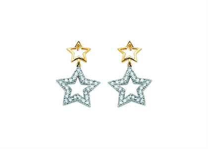 2 Tone Plated | Fashion Earrings